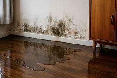 Les conséquences d’un dégât des eaux non traité